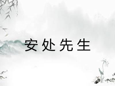 安处先生