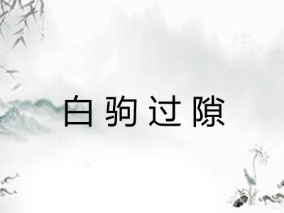 白驹过隙