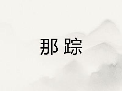 那踪
