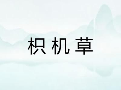 枳机草