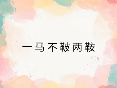 一马不鞁两鞍