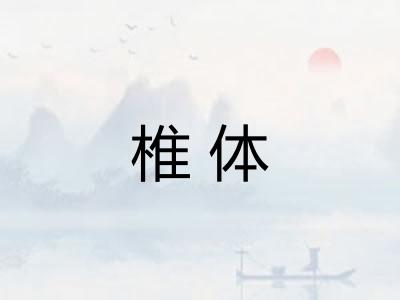 椎体