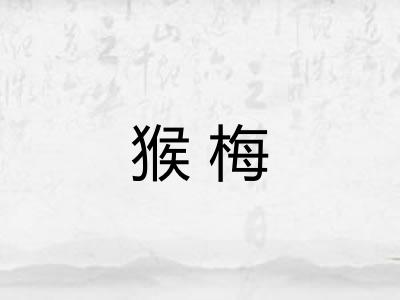 猴梅