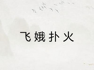 飞娥扑火