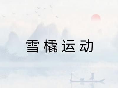 雪橇运动