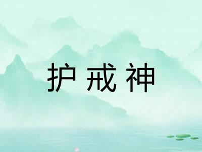 护戒神