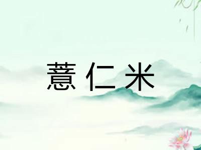 薏仁米