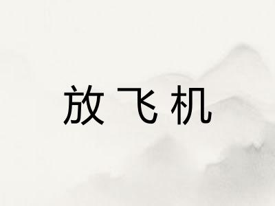 放飞机