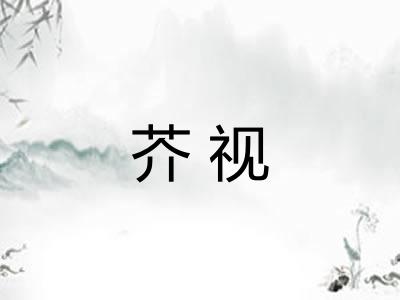 芥视