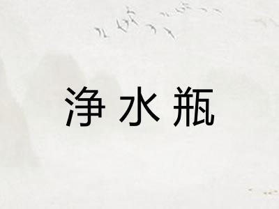 浄水瓶