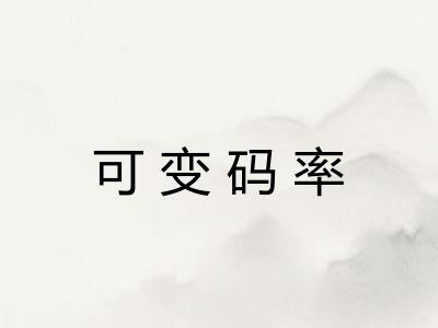 可变码率