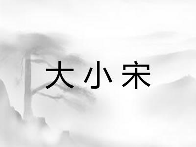 大小宋