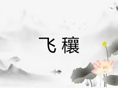 飞穰