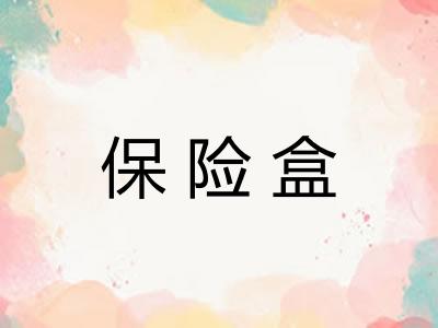 保险盒