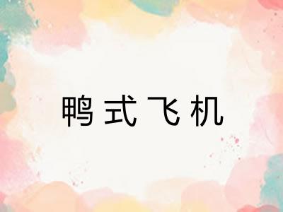 鸭式飞机