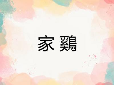 家鷄