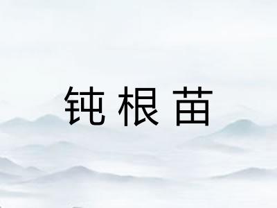 钝根苗