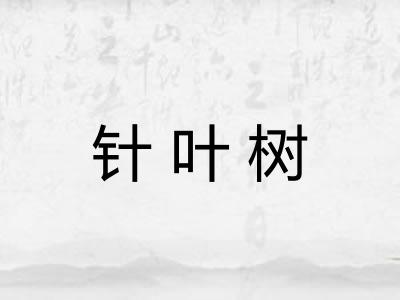 针叶树