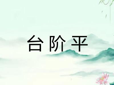 台阶平