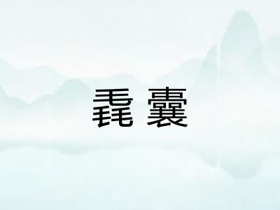 毳囊