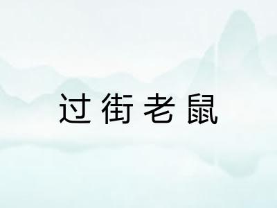 过街老鼠