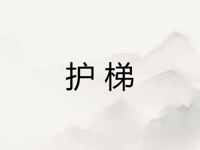 护梯