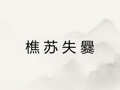 樵苏失爨