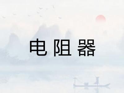电阻器