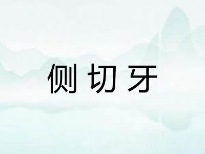 侧切牙