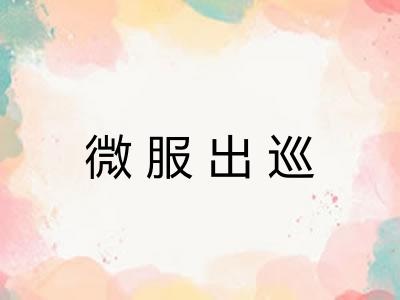 微服出巡
