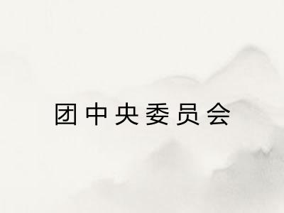 团中央委员会