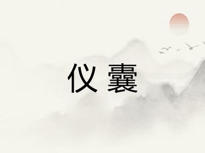 仪囊
