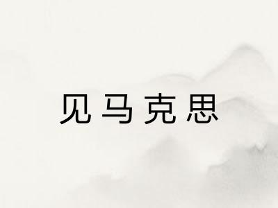 见马克思