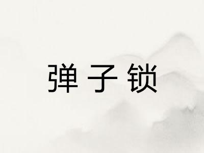 弹子锁