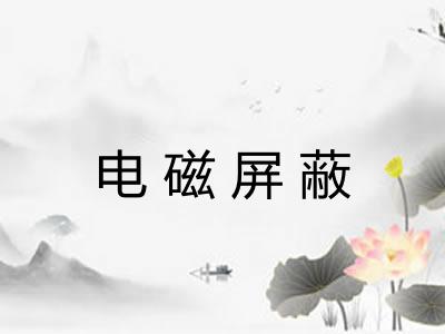 电磁屏蔽