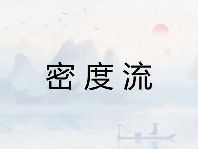 密度流