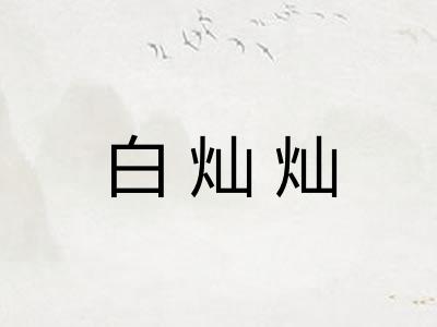 白灿灿