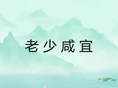 老少咸宜