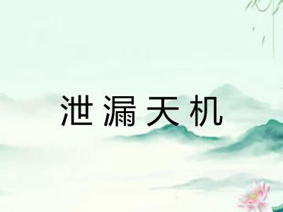 泄漏天机