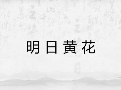 明日黄花