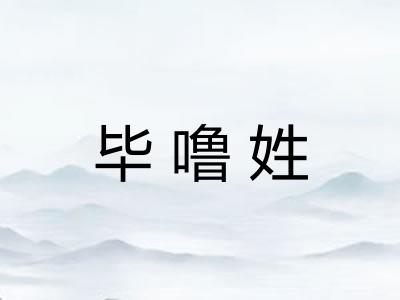毕噜姓