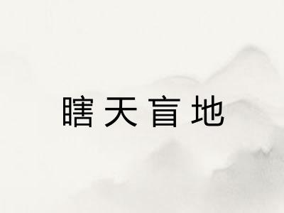 瞎天盲地