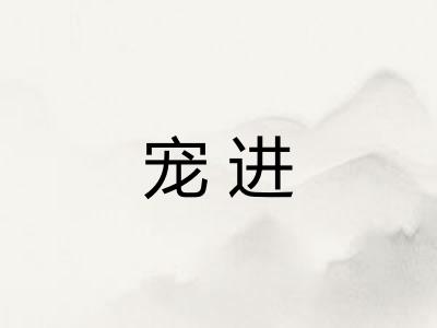 宠进