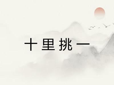 十里挑一