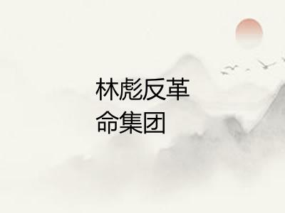 林彪反革命集团