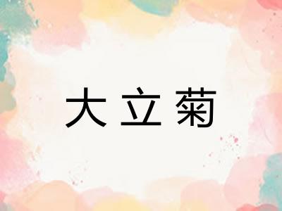 大立菊