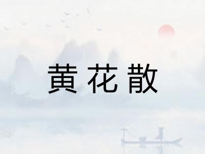 黄花散