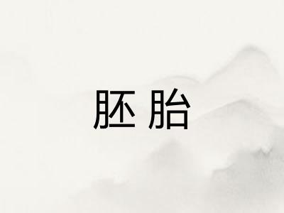 胚胎