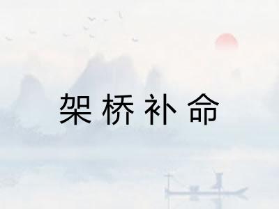 架桥补命