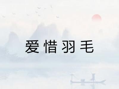爱惜羽毛